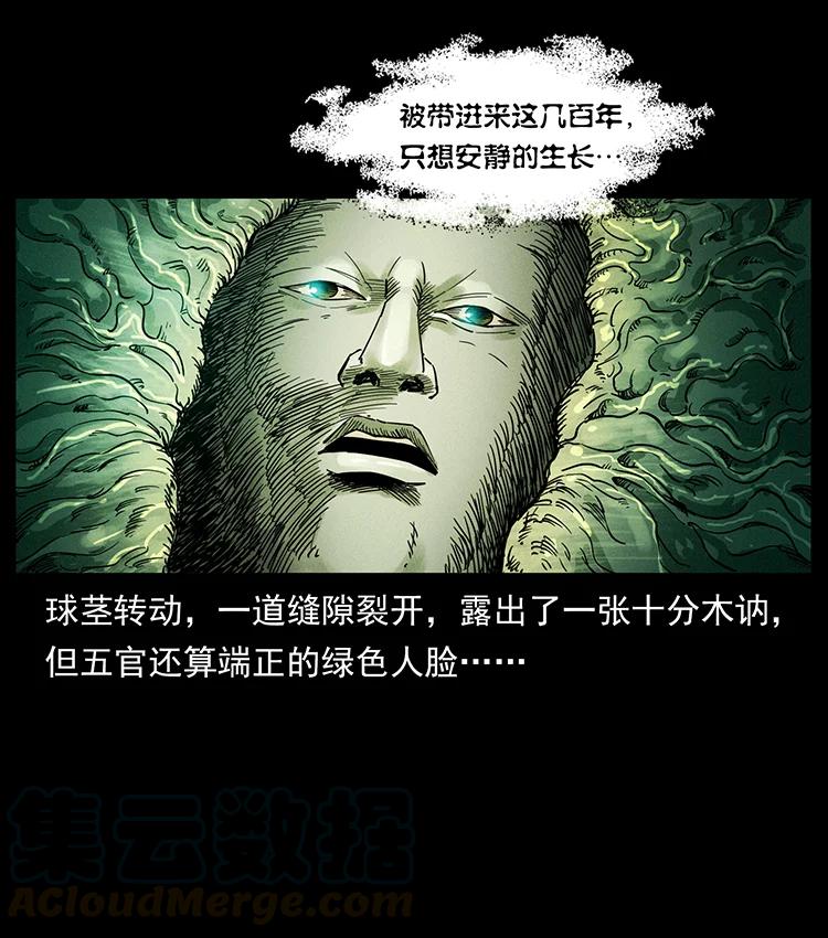 79.jpg