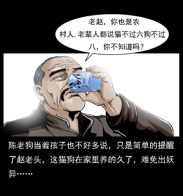 51.jpg