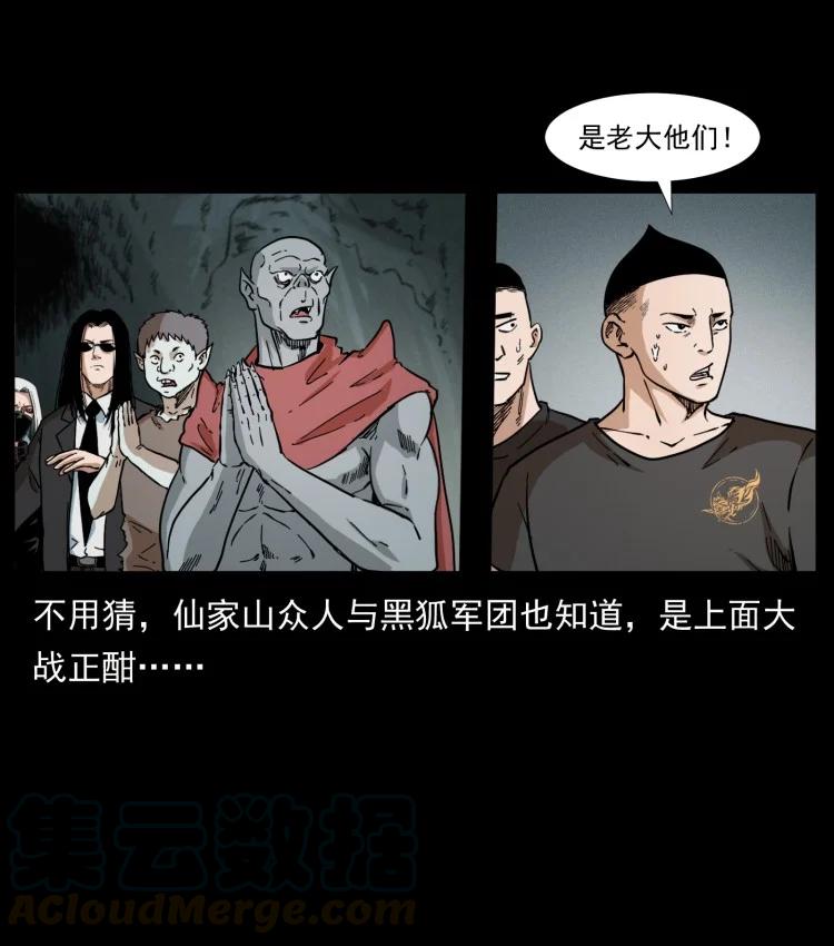 46.jpg