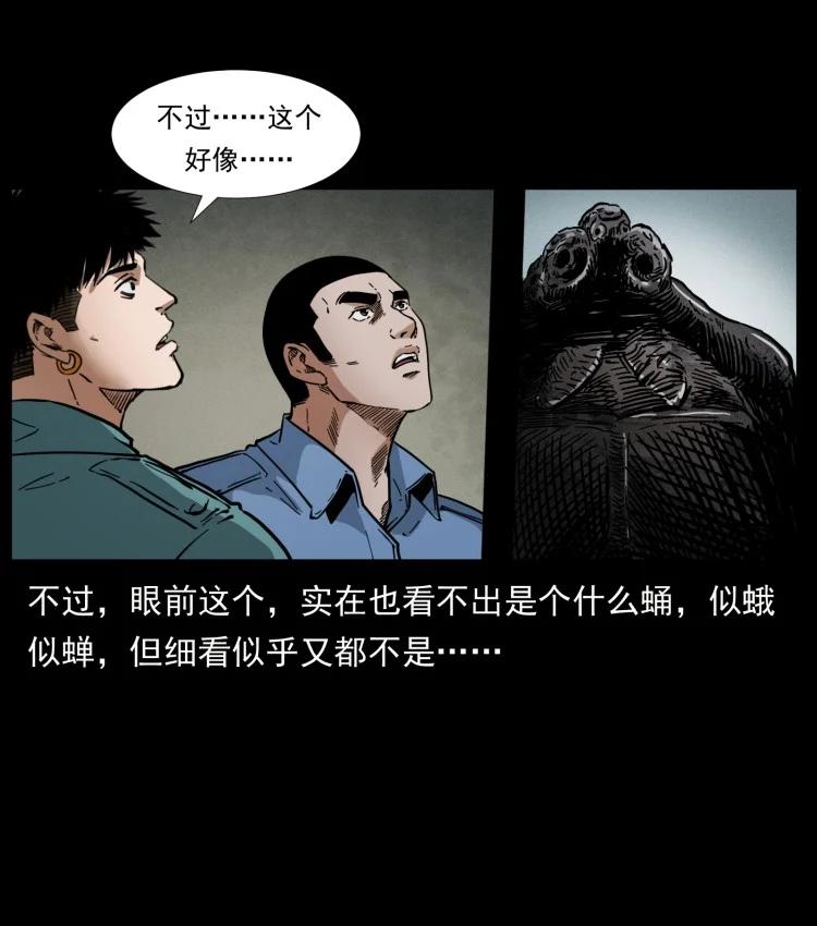 77.jpg
