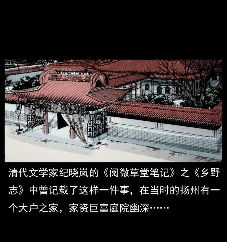 47.jpg