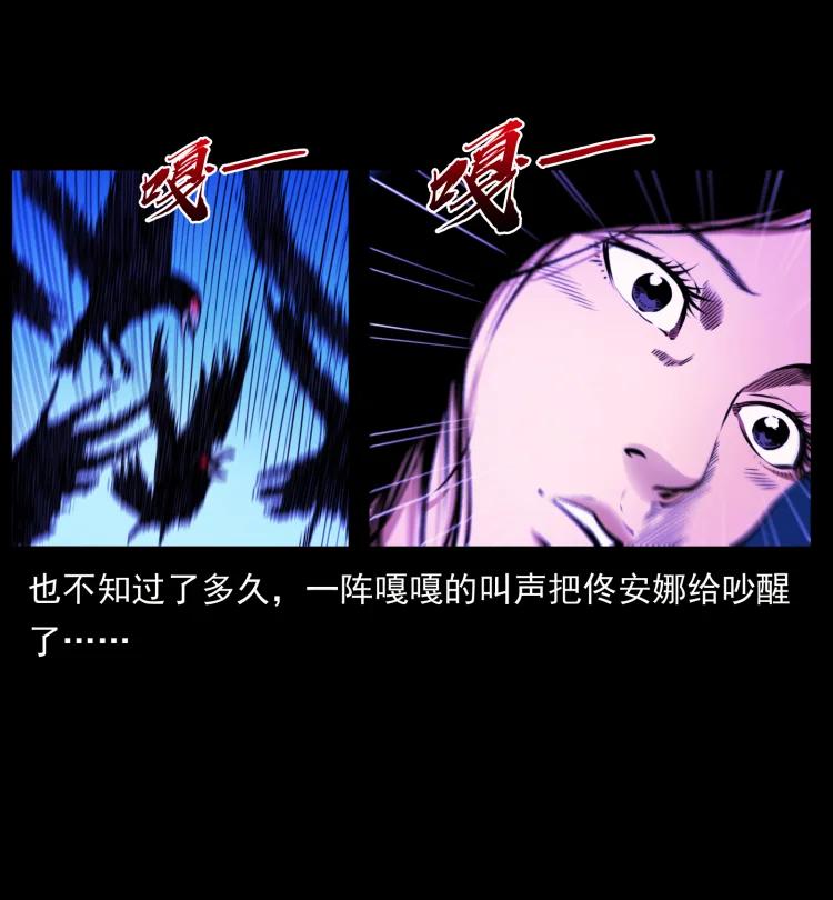 71.jpg