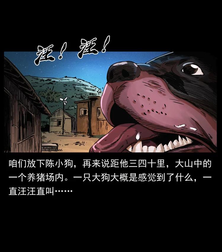 36.jpg