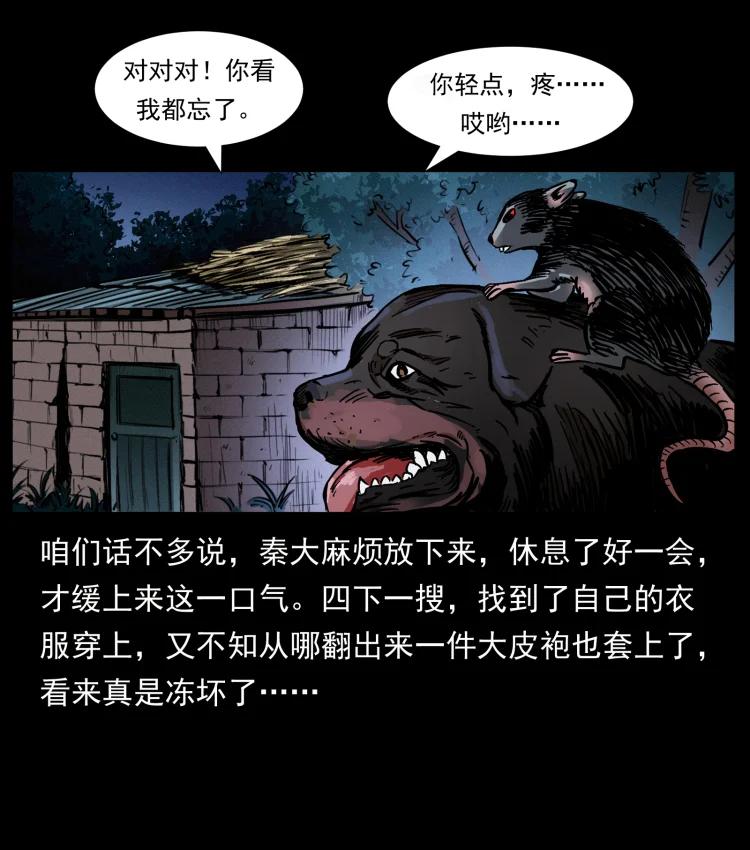 65.jpg