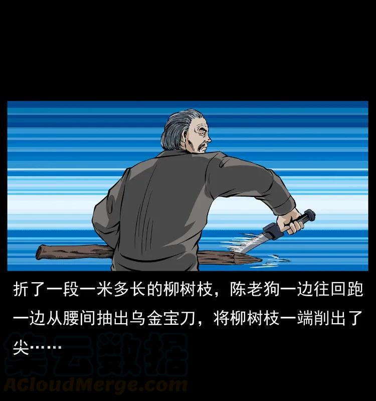 52.jpg