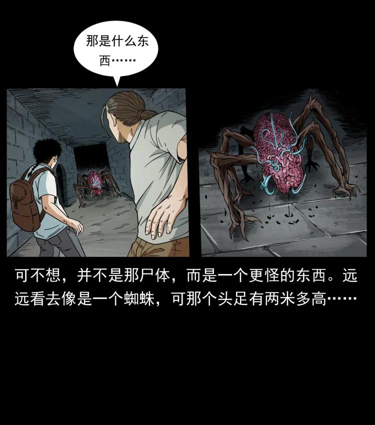 51.jpg