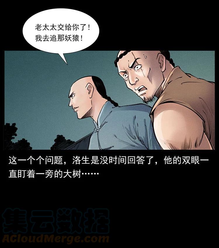 61.jpg
