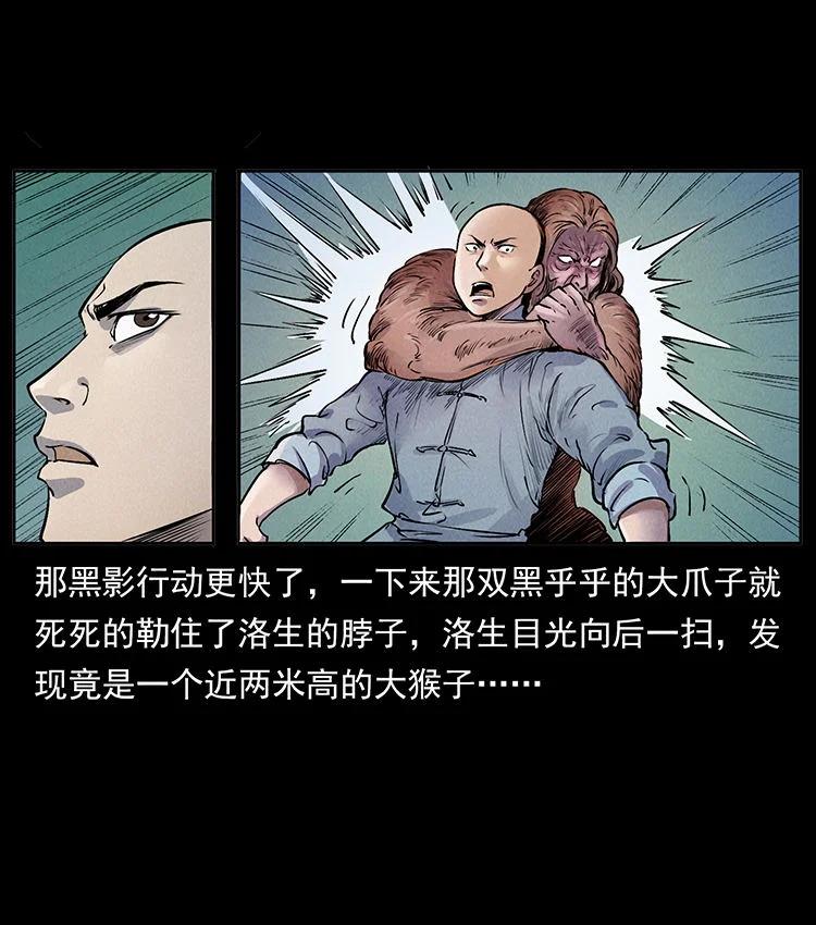 71.jpg
