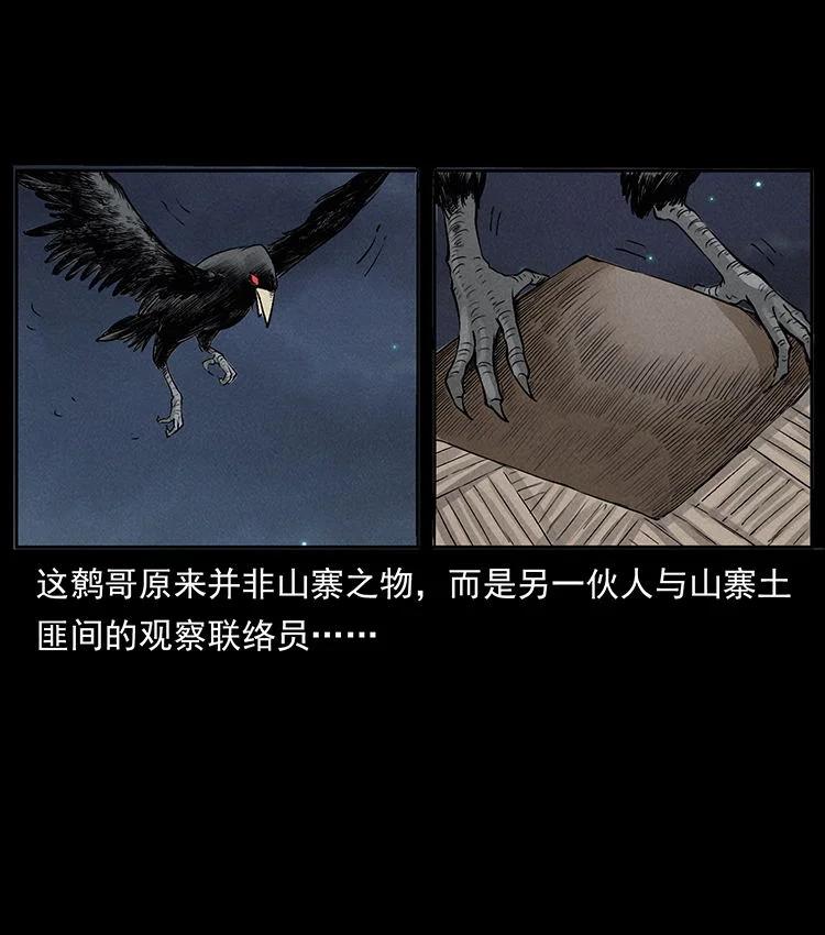 81.jpg