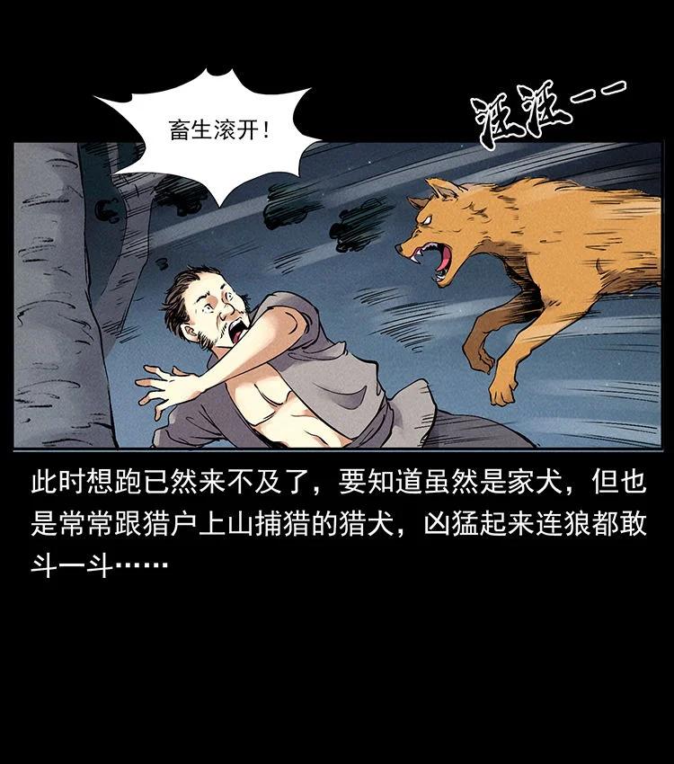 20.jpg