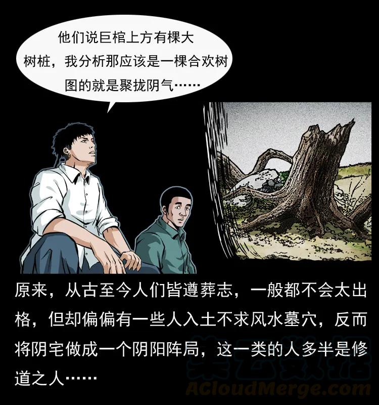 29.jpg