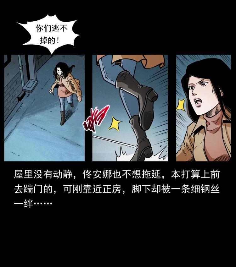 48.jpg