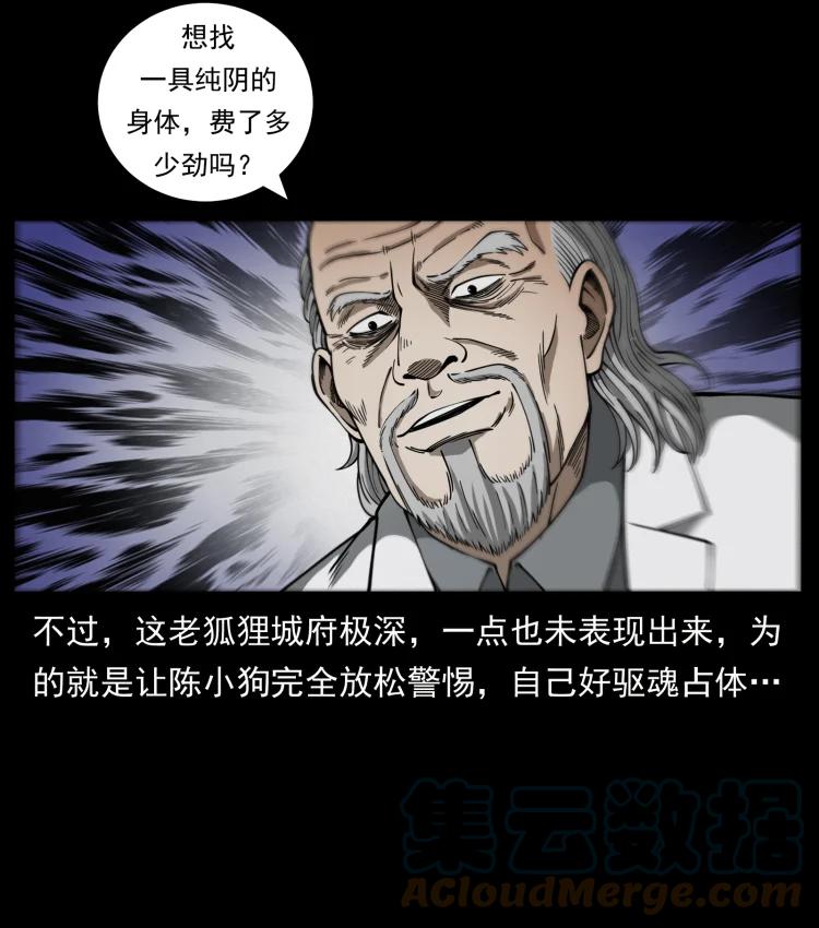 46.jpg