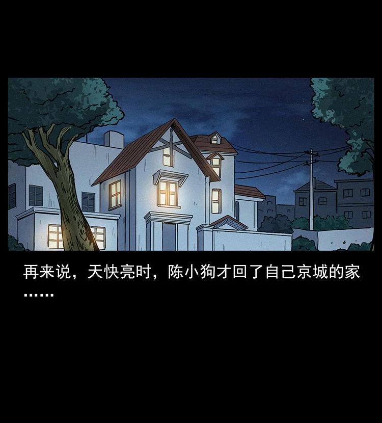 81.jpg