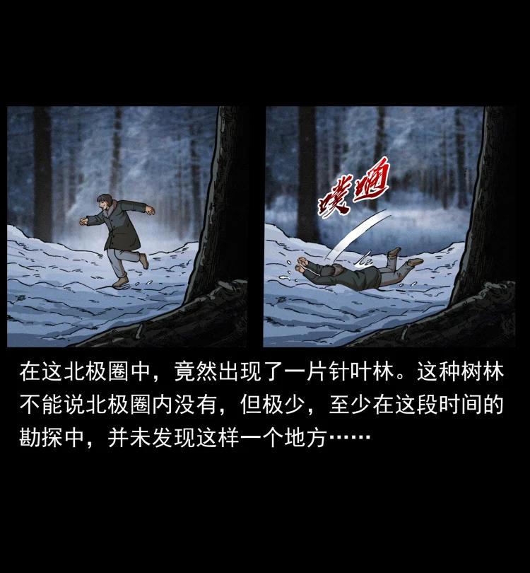 71.jpg