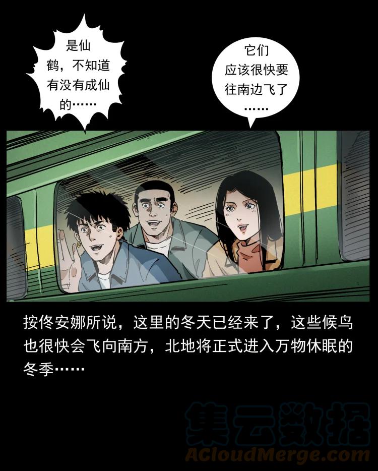 79.jpg