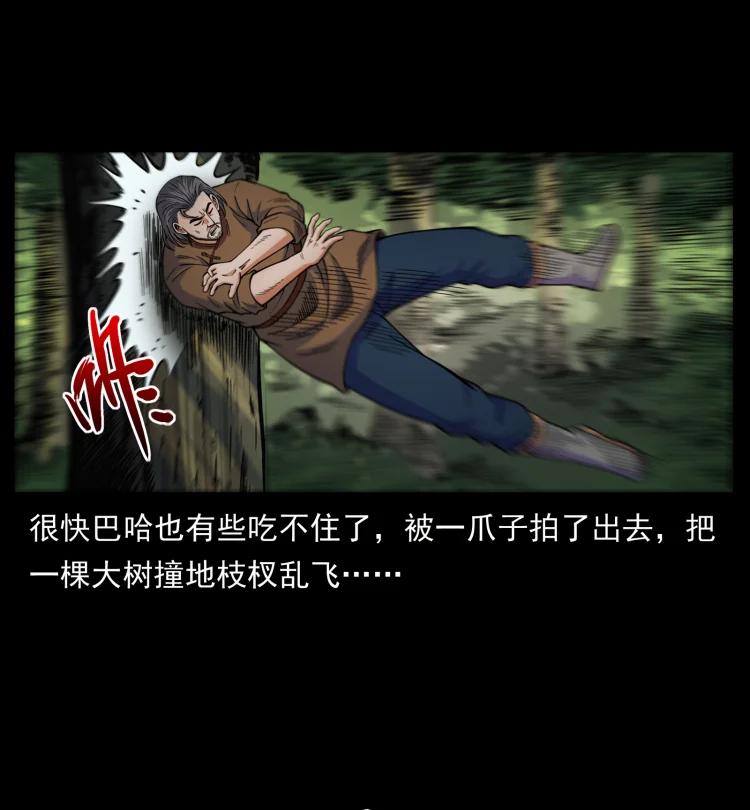 17.jpg