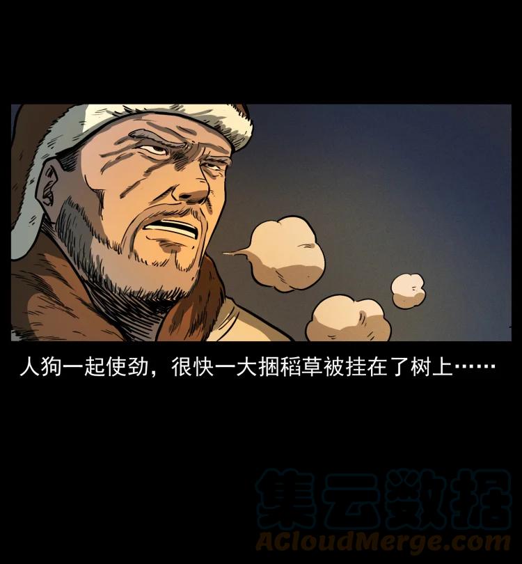 82.jpg