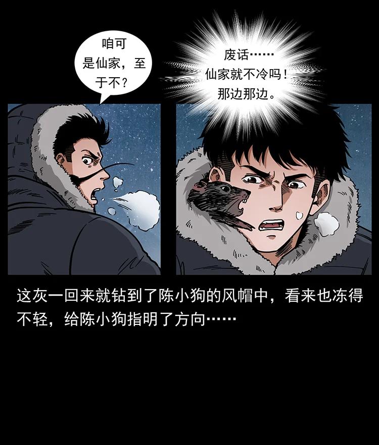 14.jpg