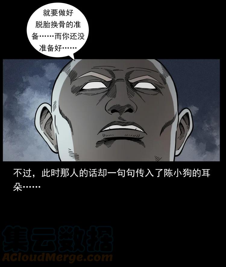 49.jpg
