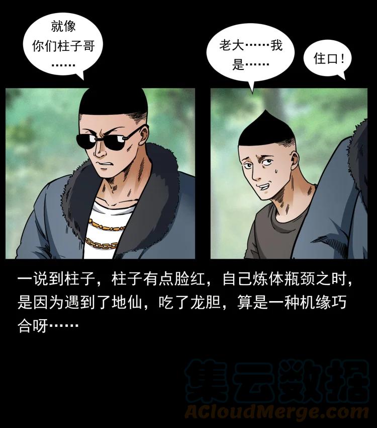 73.jpg