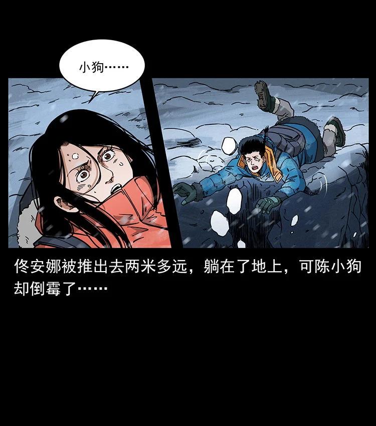 41.jpg