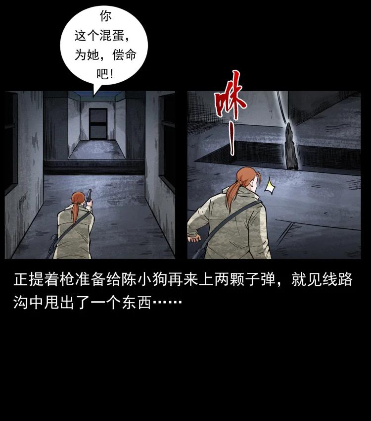 75.jpg
