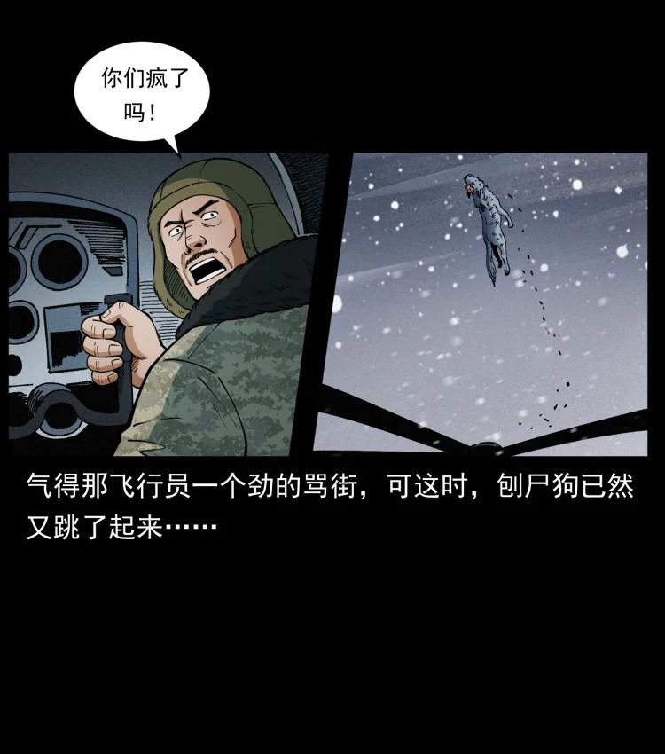 27.jpg
