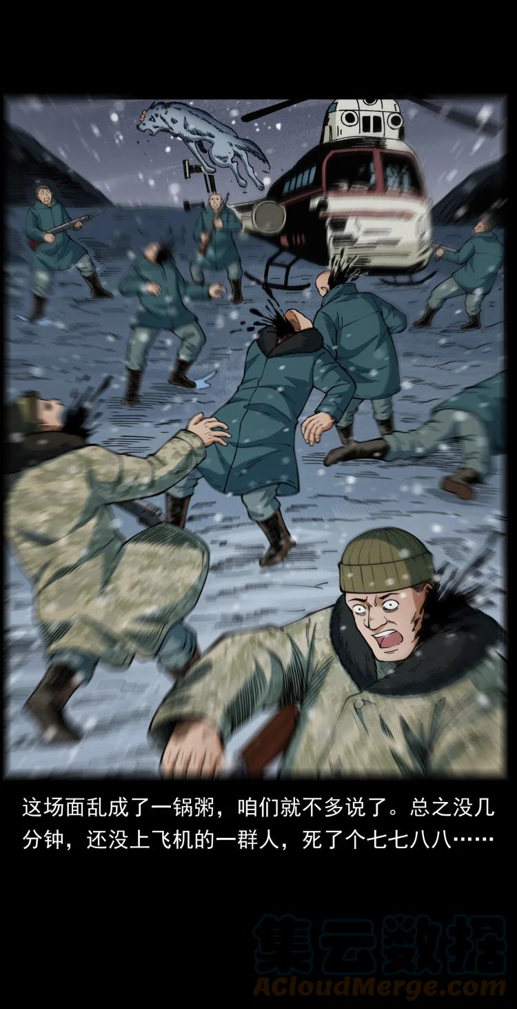 31.jpg