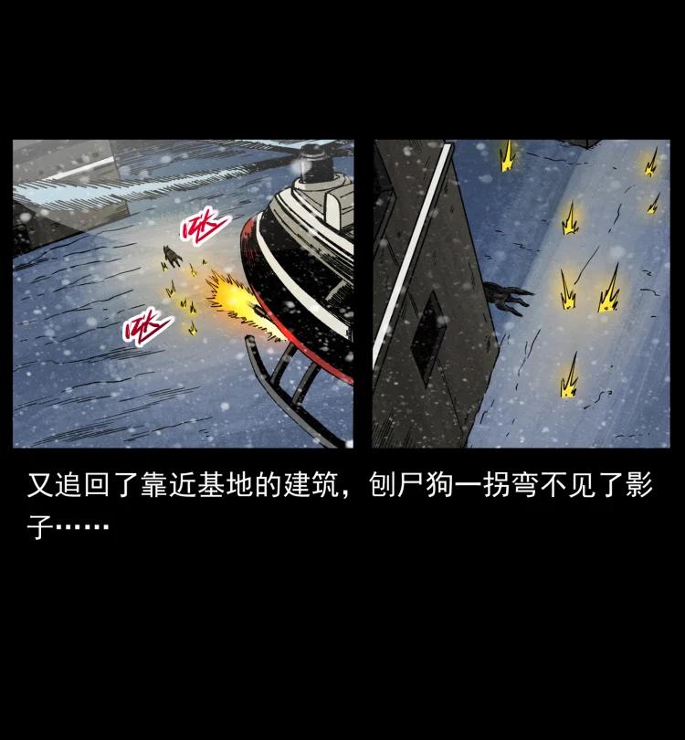 51.jpg