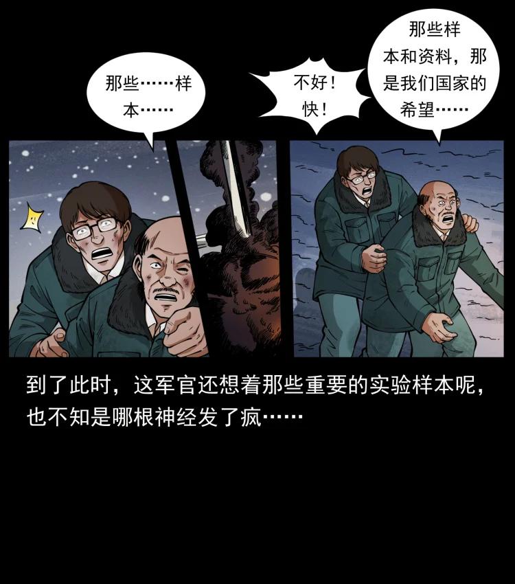 77.jpg
