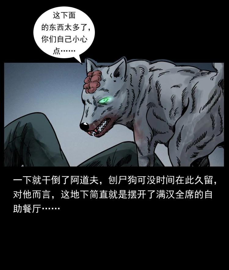 78.jpg