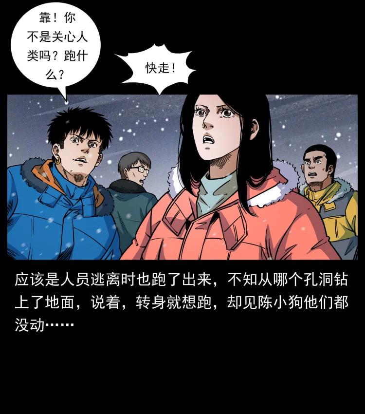 23.jpg