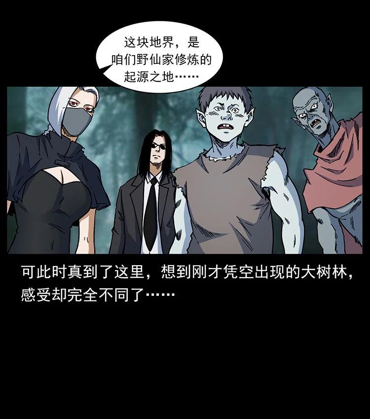 53.jpg