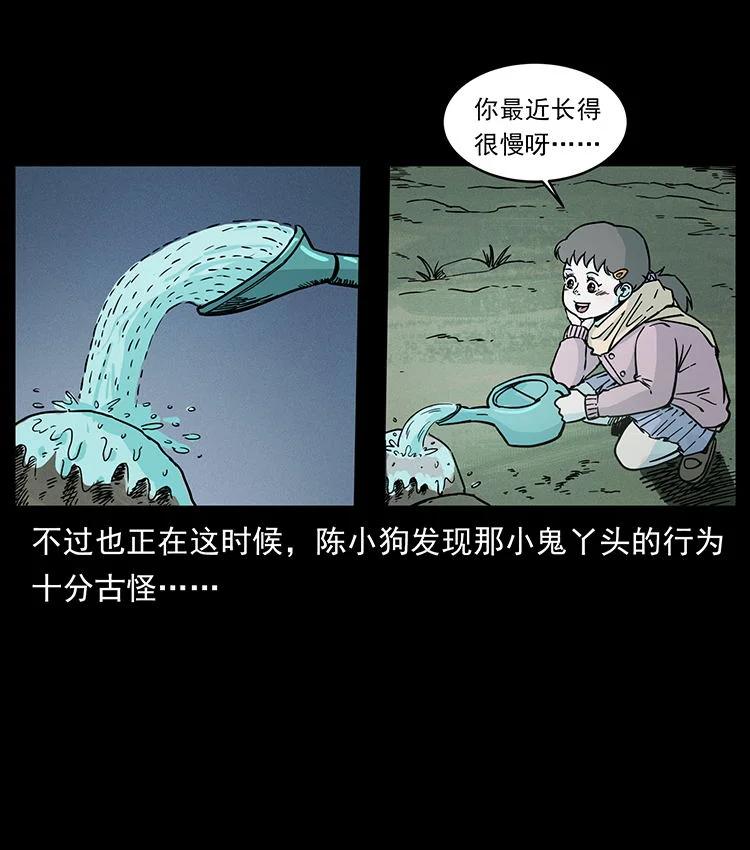 75.jpg
