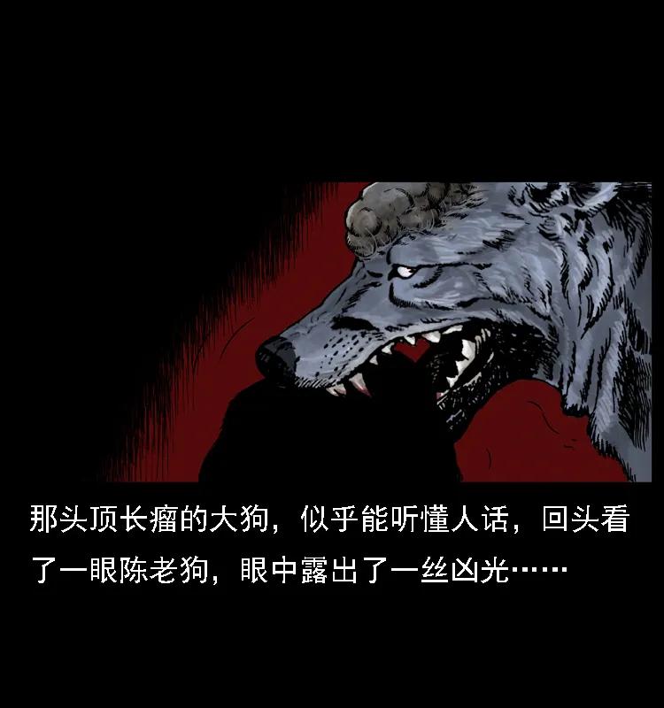 66.jpg