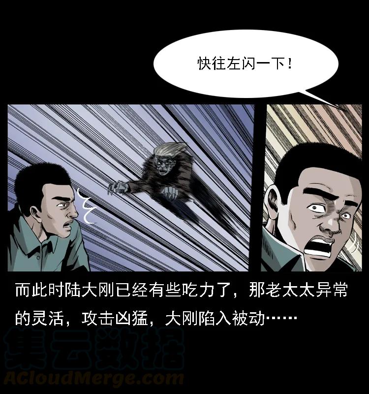 33.jpg
