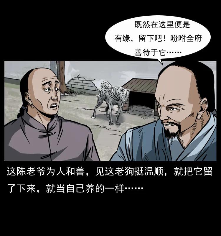 24.jpg
