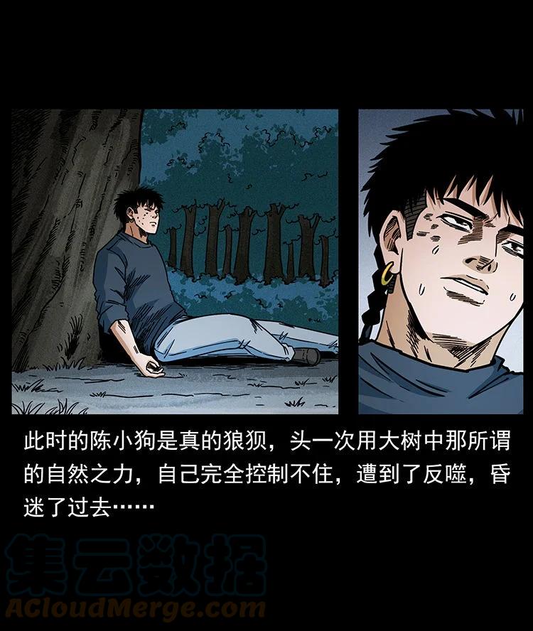 85.jpg