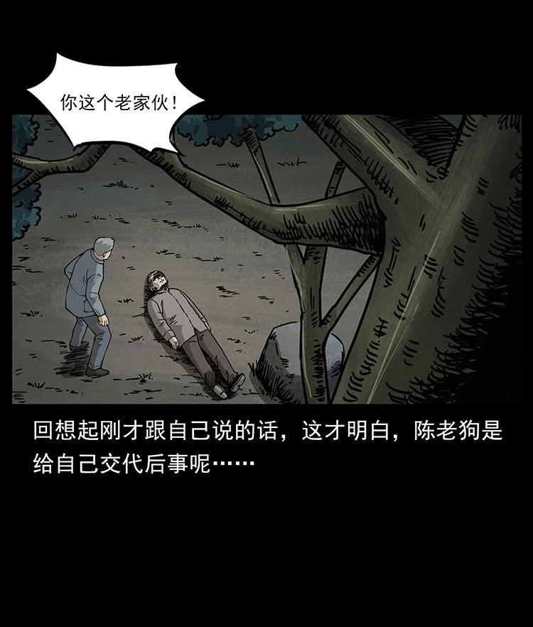 87.jpg