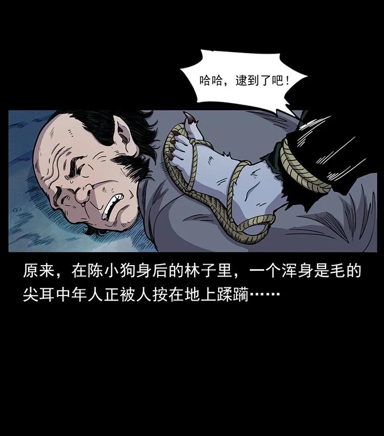 21.jpg