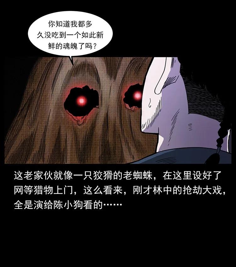 51.jpg