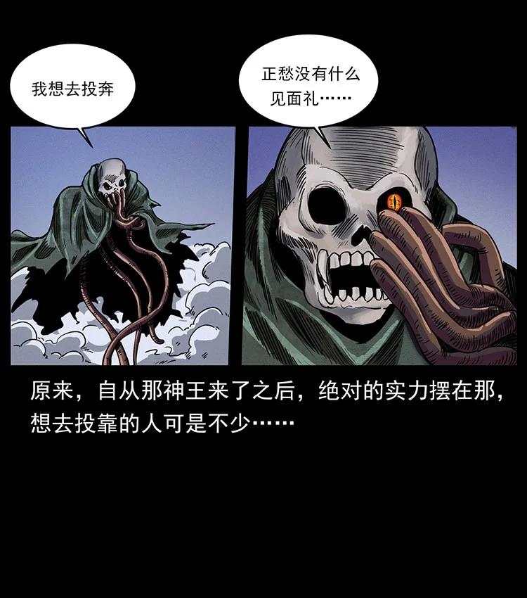 41.jpg