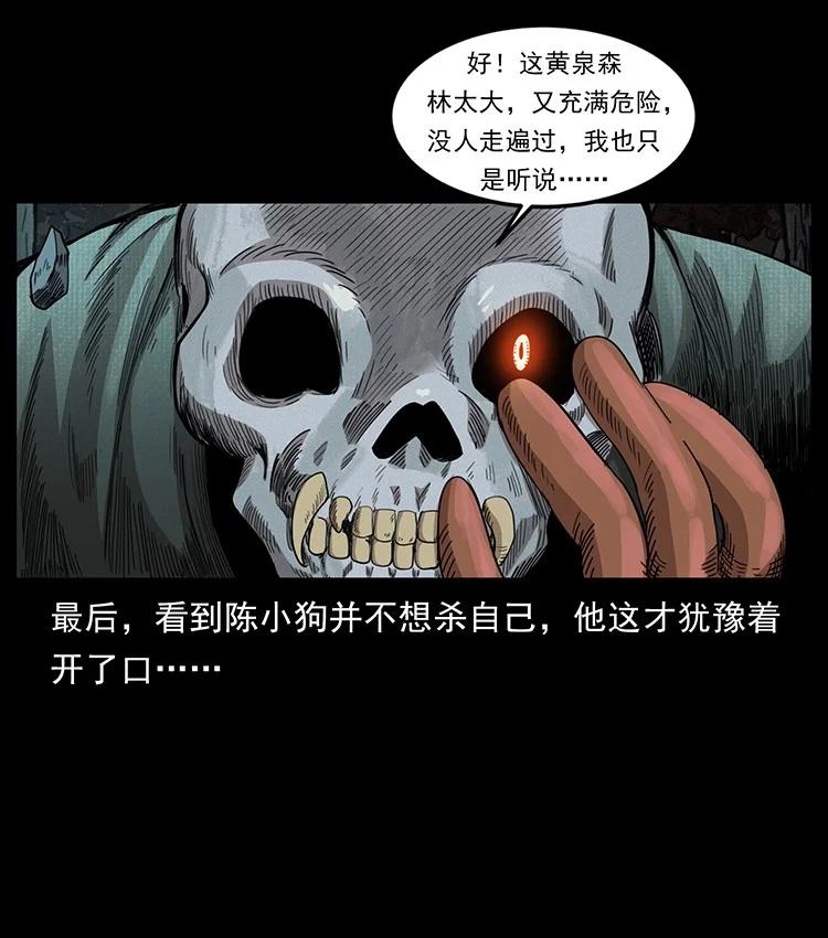 62.jpg