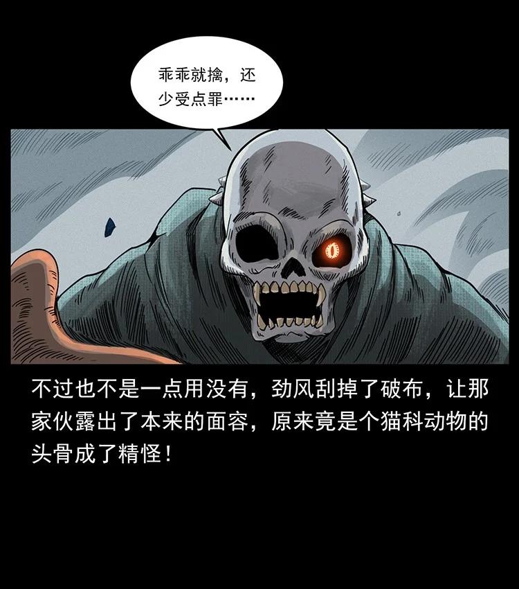 48.jpg