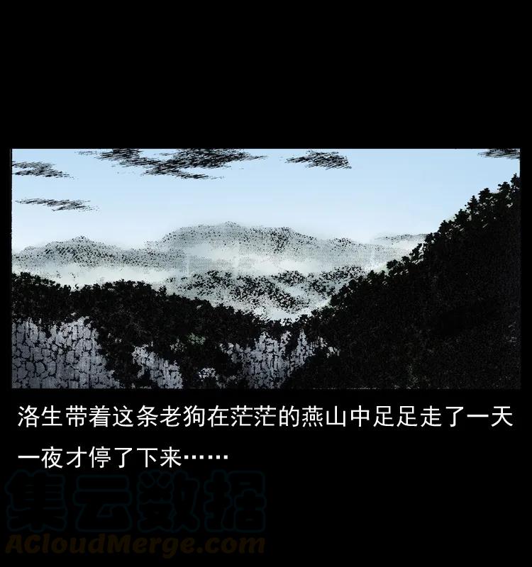 61.jpg