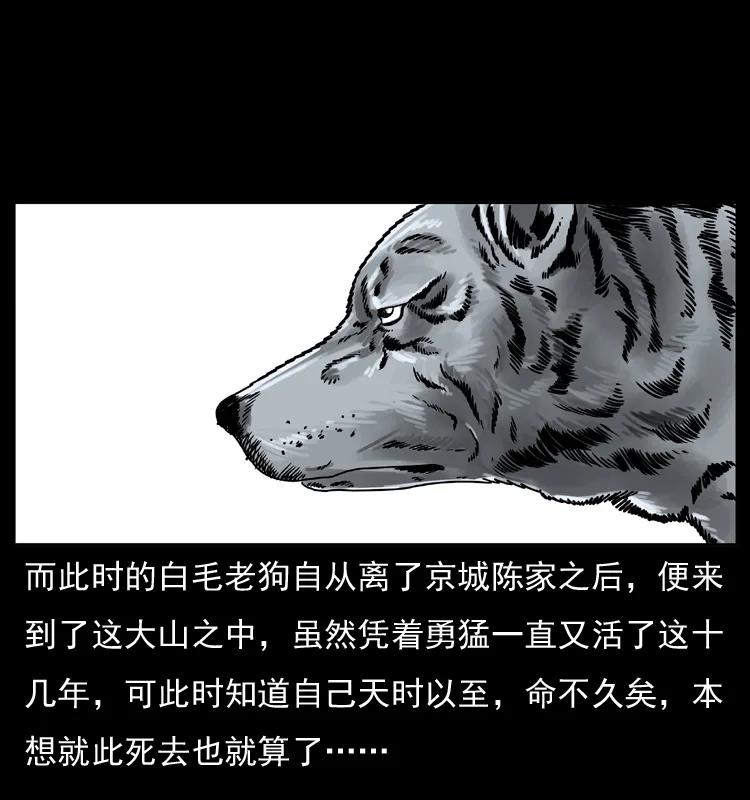 59.jpg