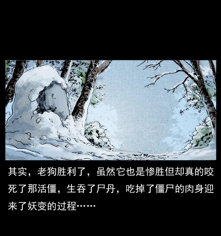 74.jpg