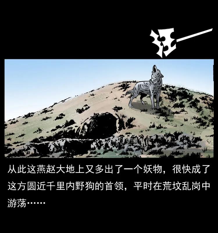 78.jpg