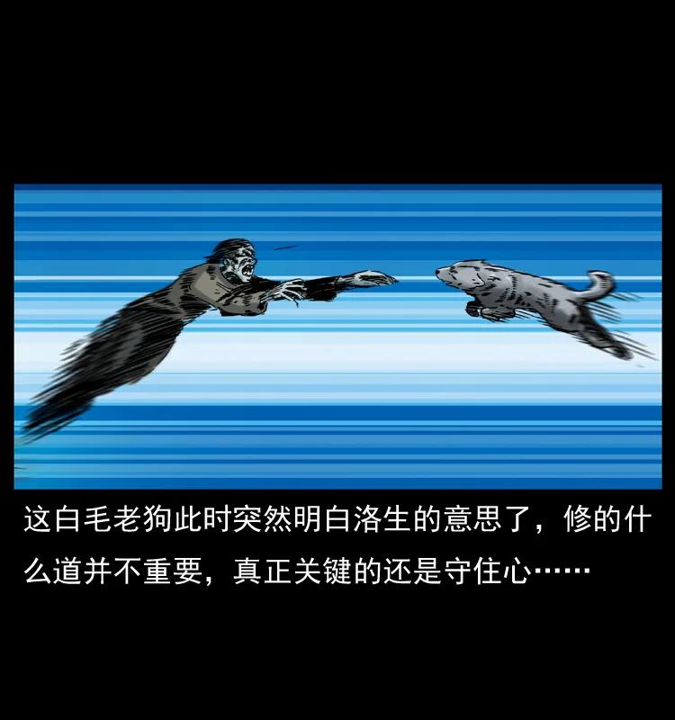 70.jpg